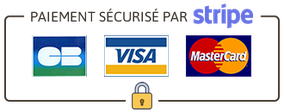 moyens de paiement sécurisé